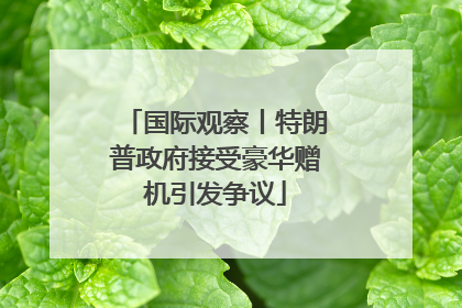 国际观察丨特朗普政府接受豪华赠机引发争议