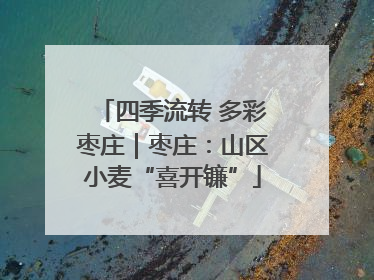 四季流转 多彩枣庄｜枣庄：山区小麦“喜开镰”