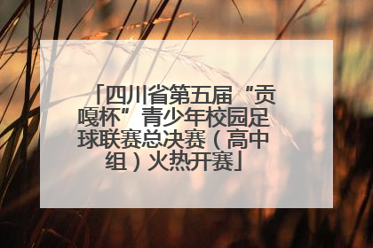 四川省第五届“贡嘎杯”青少年校园足球联赛总决赛（高中组）火热开赛