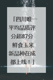 四川唯一平均品质评分超87分 鲜食玉米新品种在成都上线！