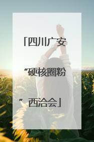 四川广安“硬核圈粉”西洽会