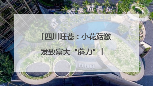 四川旺苍：小花菇激发致富大“蘑力”