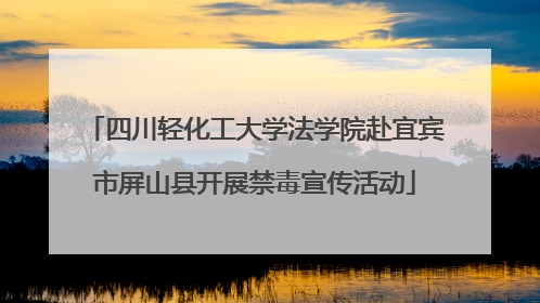 四川轻化工大学法学院赴宜宾市屏山县开展禁毒宣传活动