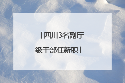 四川3名副厅级干部任新职