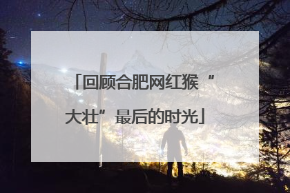 回顾合肥网红猴“大壮”最后的时光