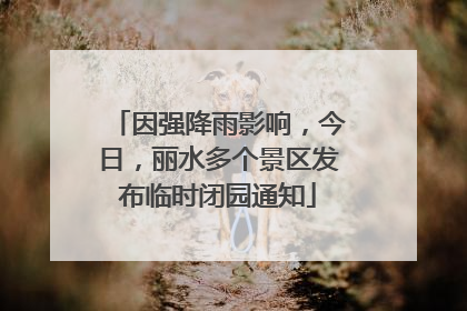 因强降雨影响，今日，丽水多个景区发布临时闭园通知