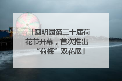 圆明园第三十届荷花节开幕，首次推出“荷梅”双花展