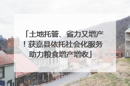 土地托管、省力又增产！获嘉县依托社会化服务助力粮食增产增收
