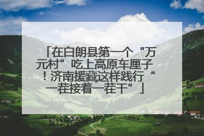 在白朗县第一个“万元村”吃上高原车厘子！济南援藏这样践行“一茬接着一茬干”