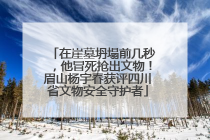 在崖墓坍塌前几秒，他冒死抢出文物！眉山杨宇春获评四川省文物安全守护者