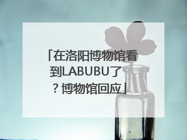 在洛阳博物馆看到LABUBU了？博物馆回应