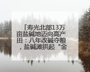 寿光北部13万亩盐碱地迈向高产田：八年改碱夺粮，盐碱滩拱起“金粮仓”