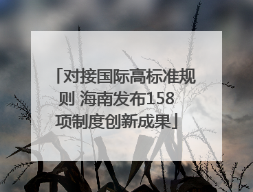 对接国际高标准规则 海南发布158项制度创新成果