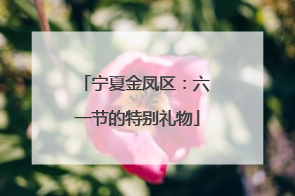 宁夏金凤区：六一节的特别礼物