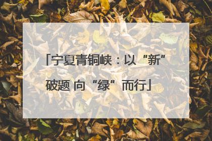 宁夏青铜峡：以“新”破题 向“绿”而行