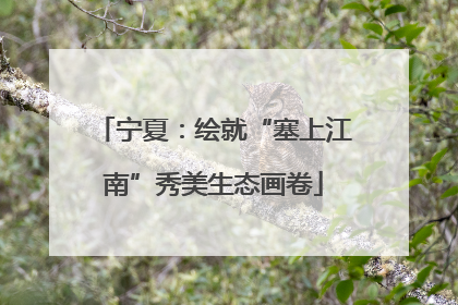 宁夏：绘就“塞上江南”秀美生态画卷