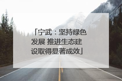 宁武：坚持绿色发展 推进生态建设取得显著成效