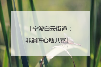 宁波白云街道：非遗匠心助共富