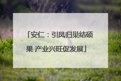 安仁：引凤归巢结硕果 产业兴旺促发展