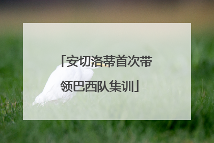 安切洛蒂首次带领巴西队集训