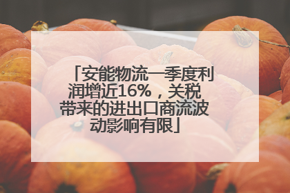 安能物流一季度利润增近16%，关税带来的进出口商流波动影响有限