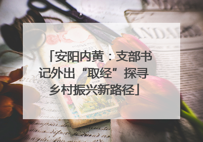 安阳内黄：支部书记外出“取经”探寻乡村振兴新路径