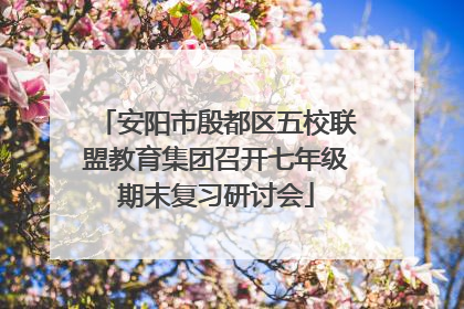 安阳市殷都区五校联盟教育集团召开七年级期末复习研讨会