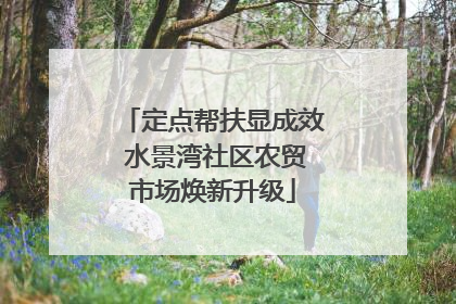 定点帮扶显成效 水景湾社区农贸市场焕新升级