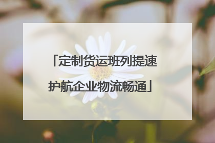 定制货运班列提速 护航企业物流畅通