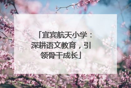 宜宾航天小学：深耕语文教育，引领骨干成长