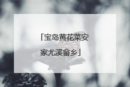 宝岛黄花菜安家尤溪畲乡