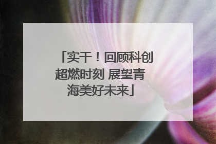 实干！回顾科创超燃时刻 展望青海美好未来