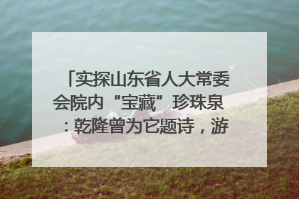 实探山东省人大常委会院内“宝藏”珍珠泉：乾隆曾为它题诗，游客无需预约免费游览