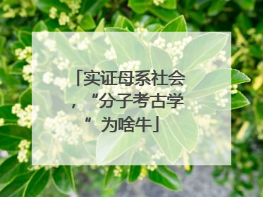 实证母系社会，“分子考古学”为啥牛