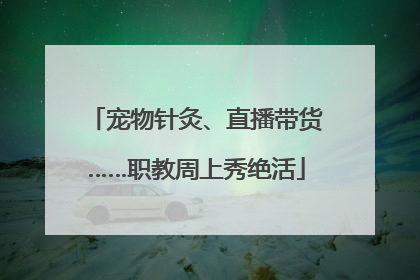 宠物针灸、直播带货……职教周上秀绝活