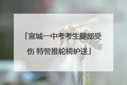 宣城一中考考生腿部受伤 特警推轮椅护送