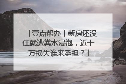 壹点帮办丨新房还没住就遭粪水浸泡，近十万损失谁来承担？