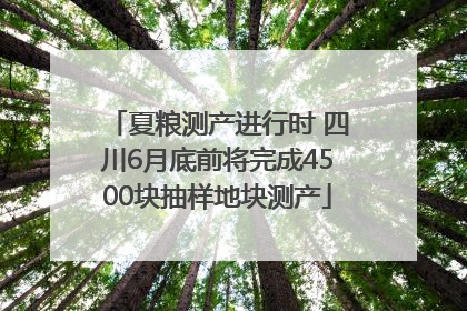 夏粮测产进行时 四川6月底前将完成4500块抽样地块测产