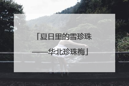 夏日里的雪珍珠——华北珍珠梅