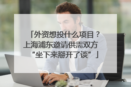外资想投什么项目？上海浦东邀请供需双方“坐下来掰开了谈”