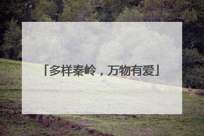 多样秦岭，万物有爱
