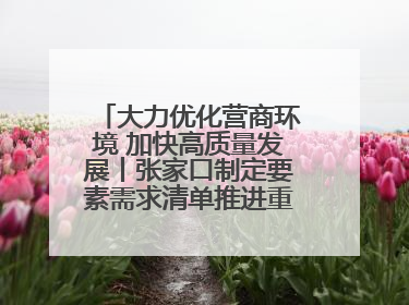 大力优化营商环境 加快高质量发展丨张家口制定要素需求清单推进重点项目建设