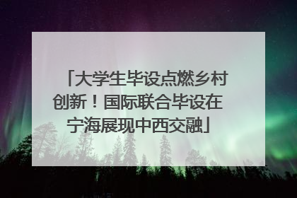 大学生毕设点燃乡村创新！国际联合毕设在宁海展现中西交融