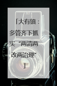 大有镇：多管齐下抓实“两清两改两治理”