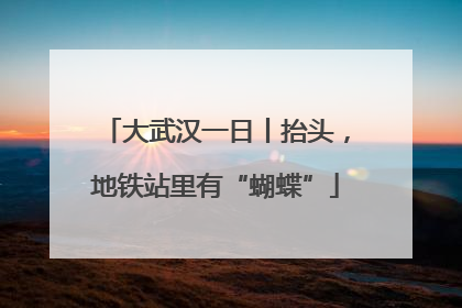大武汉一日丨抬头，地铁站里有“蝴蝶”