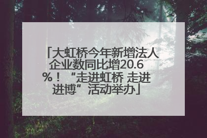 大虹桥今年新增法人企业数同比增20.6%！“走进虹桥 走进进博”活动举办