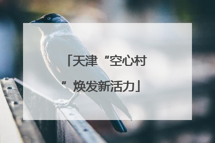 天津“空心村”焕发新活力