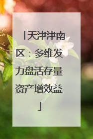天津津南区：多维发力盘活存量资产增效益