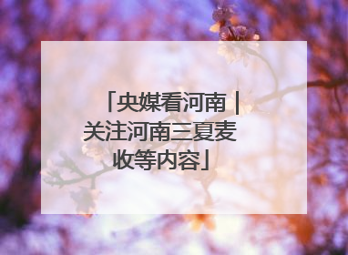 央媒看河南｜关注河南三夏麦收等内容