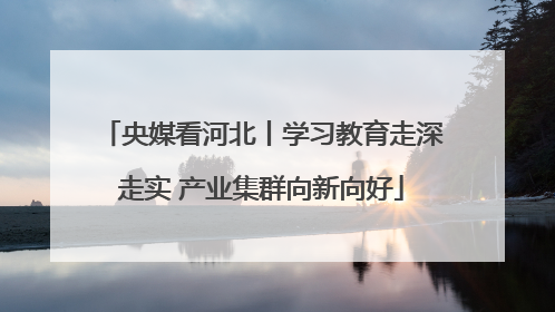 央媒看河北丨学习教育走深走实 产业集群向新向好